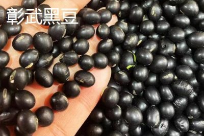 辽宁省锦州市有哪些特色水果,包括北镇葡萄、银白杏、锦州苹果等种类