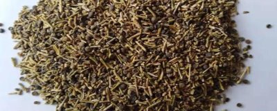 哪里可以购买梭梭种子，可在电商平台或当地的苗木市场购买