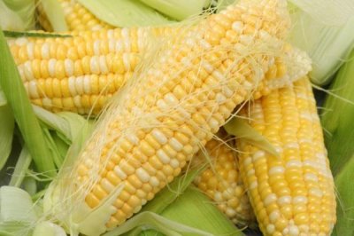水果玉米的产地,可以直接生吃