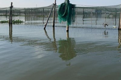 螃蟹养殖的条件，要为其提供新鲜的食材