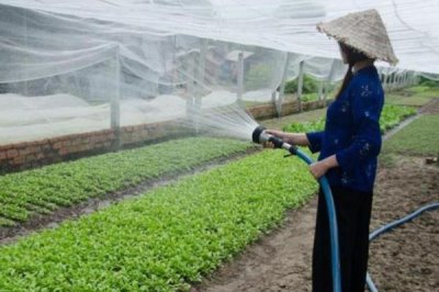 反季节蔬菜的施肥要点,应重施有机肥、合理选择肥料类型并确定用量