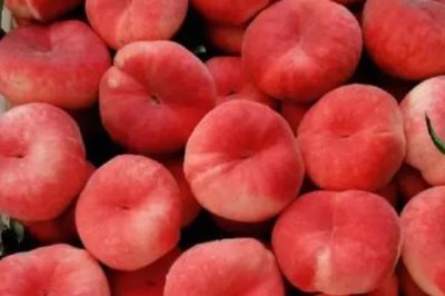 哪里的水蜜桃最好吃,奉化水蜜桃被誉为中国之最