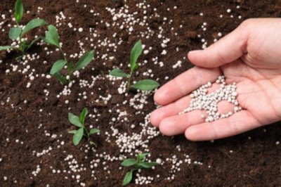 微生物肥料和化肥的关系,是一种互补、相辅相成的关系