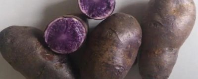 黑土豆什么品种好,有黑金刚土豆和黑美人土豆