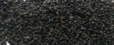 怎么种韭菜种子,种子处理前需晒种