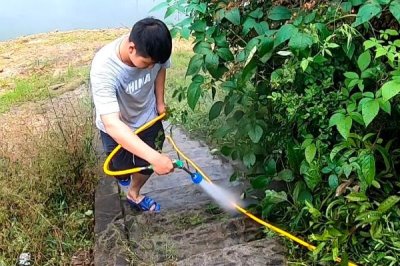 代森铵主治哪些病害,可有效防治水稻稻瘟病、玉米斑病等