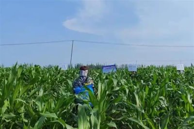 生物肥与水溶肥有什么区别,定义、成分、用法均不同