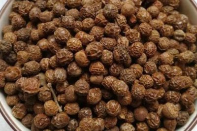 梧桐树种子怎么采收,9月至10月采收为佳