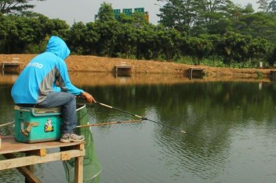 黑坑为什么不让用红虫,容易引起偏口和污染水质等