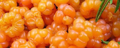 云莓的价格,最高卖到200元一斤