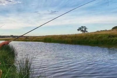 春钓口诀和意思解释,雨后鱼靠边、打窝不打远