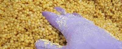 鲤鱼的窝料配方，常用材料包括麦麸、玉米渣、豆饼等物质