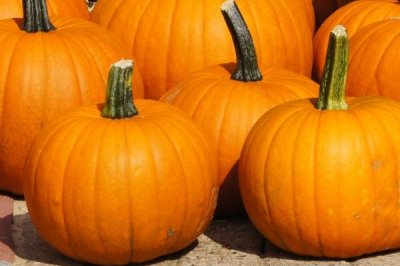 月饼的种类介绍,包括广式月饼、苏氏月饼、京式月饼等类型