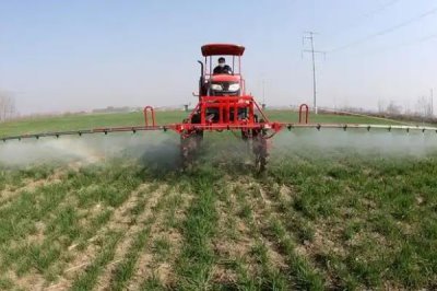 专治芦苇和茅草用哪种除草剂，可以使用高效氟吡甲禾灵