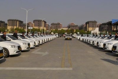 2025年农村创业致富项目,院落绿化成为热门行业