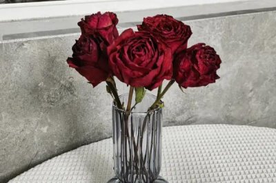 玫瑰的花期持续时间，开花时长为15-30天左右