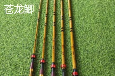 鲫鱼竿十大排名,不同品牌有价格差距