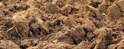 烧碱可以改良酸性土壤吗，不可以用于酸性土壤改良