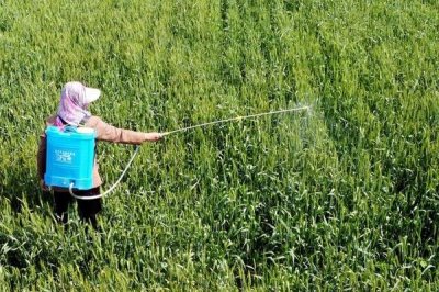 甲维高氯氟的杀虫原理,原理为阻碍害虫的运动神经信息的传递