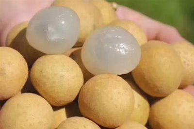 龙眼的价格，会受到地区、供应量等因素的影响