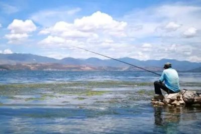 秋天鱼口好吗,与温度、气压等有关