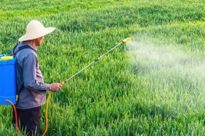 浏阳霉素的使用方法，针对不同的虫害的防治方法不同