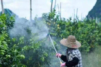 代森锰锌不能与哪些农药混用,不能和铜制剂和碱性药剂混用