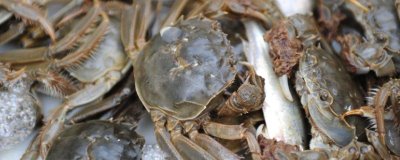 河蟹吃什么食物,主要食用水草、动物腐尸、小鱼虾等