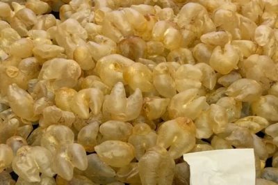 挑选和存放花胶的方法,呈半透明状的花胶其品质较好