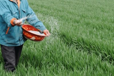 小麦追肥时期在什么时候,一般在拔节期