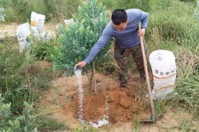 施复合肥有哪些注意事项,高浓度复合肥主要用在经济作物上