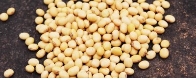 合农123大豆种子特征特性,该品种亚有限结荚习性