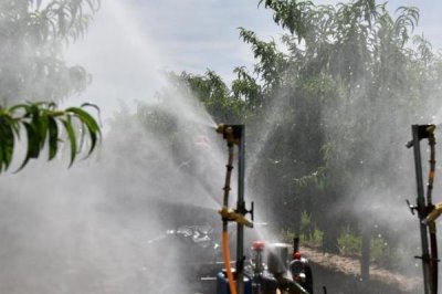 果树使用菌肥的好处,可改变根量、软化细胞壁等