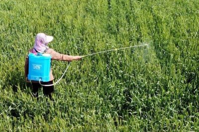 精甲咯菌腈的防治对象,可防治根腐病、恶苗病、霜疫病