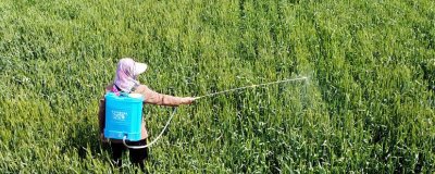 茎叶处理除草剂怎么使用,主要在杂草3-5叶期兑水喷雾