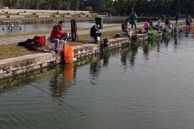 青鱼的钓法,最佳时间是每年4-6月和8-11月