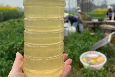 油菜花蜂蜜真假怎么鉴别，从外观、味道和结晶情况来辨别