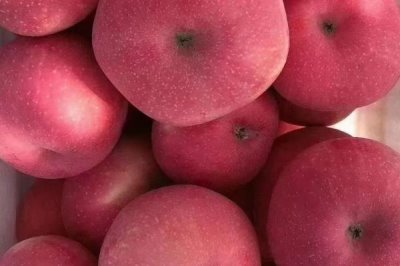 哪里的红富士苹果最出名,烟台红富士苹果最出名