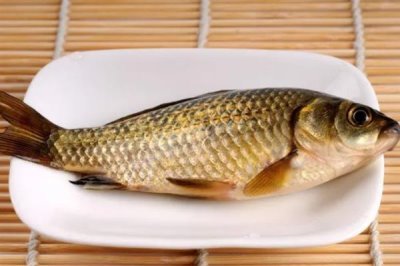 鲫鱼一年可以增重多少，人工养殖一年能增长150-200克左右