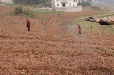 复合肥撒在地表多长时间会挥发,挥发时间与温度有关