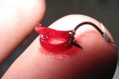 红虫简易挂钩方法，直接穿挂在鱼钩上即可