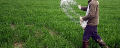 小麦追肥时期在什么时候,一般在拔节期