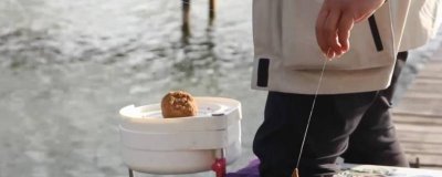 黑坑一般子线多长,一般选30-80厘米之间的即可