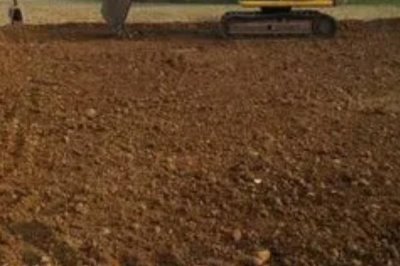 防风的种植条件,在疏松干燥的砂壤土中生长良好