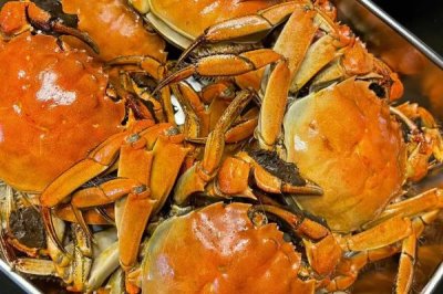 山螃蟹有没有寄生虫,鳃部容易感染多种寄生虫