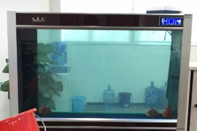 普通小鱼缸怎么换水，先找一根管子将水抽出再慢慢兑入新水