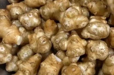 洋姜产量高但为何无人种植，主要原因是市场需求量不多