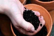 花卉盆栽土如何配制，根据植株的生长情况选择适合的基质