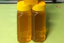 椴树蜜的价格，一般都在50元以上一斤