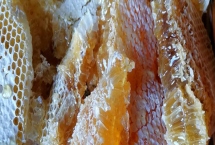 蜂蜜怎么喝，饭后可冲泡蜂蜜水